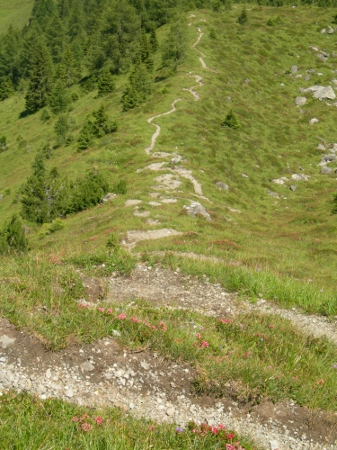Die Umgebung im Sommer 09